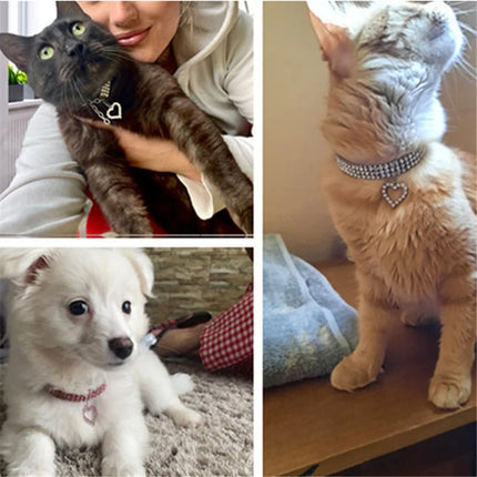 I ❤︎ Bling Pet Collar