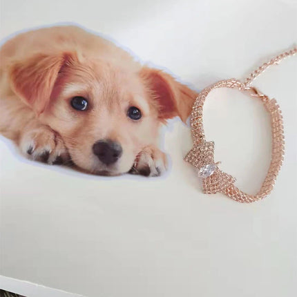 Rhinestone Pet Collar